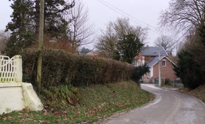 Taillage de haies chez un particulier à Hon-Hergie, Bavay, Le Jardin de Romain