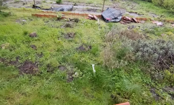 Réalisation d'un jardin chez un particulier à Feignies, Bavay, Le Jardin de Romain