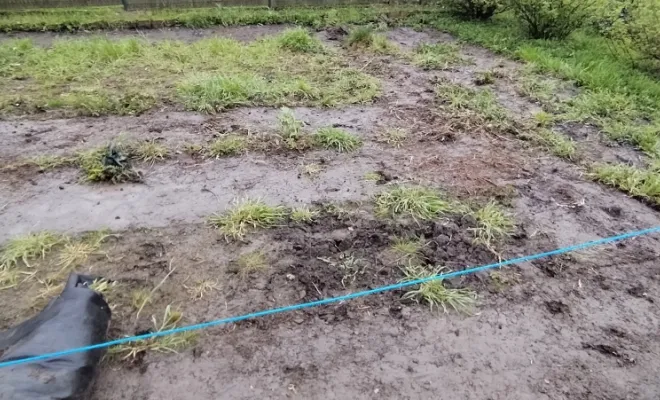 Réalisation d'un jardin chez un particulier à Feignies, Bavay, Le Jardin de Romain