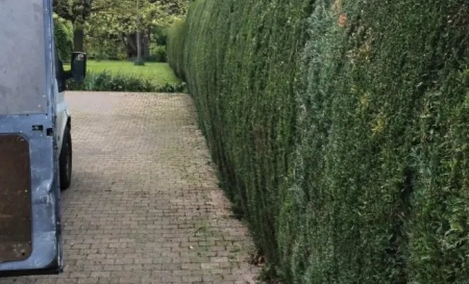 Taille de haies de plus de 100M Linéaire, Bavay, Le Jardin de Romain