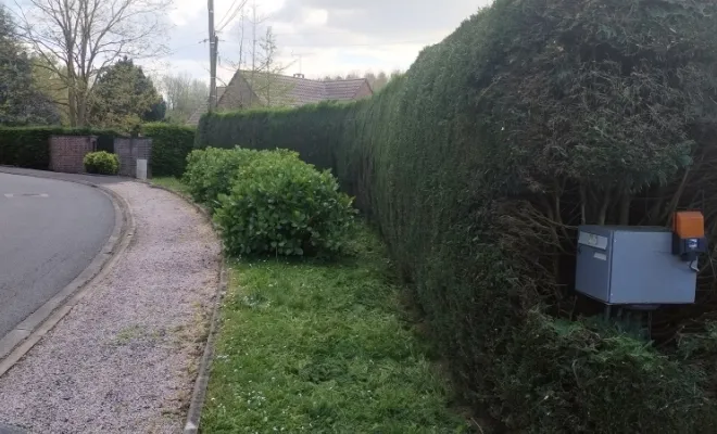 Taille de haies de plus de 100M Linéaire, Bavay, Le Jardin de Romain