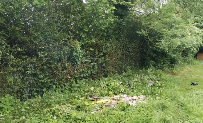 Taille de haie et abattage d'arbre sur bettrechie , Bavay, Le Jardin de Romain