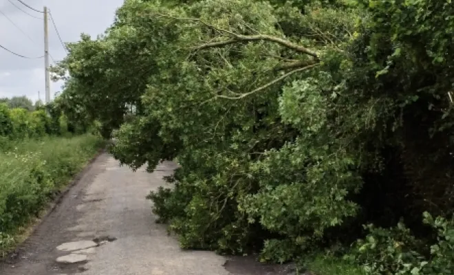 Taille de haie et abattage d'arbre sur bettrechie , Bavay, Le Jardin de Romain