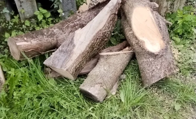 Taille de haie et abattage d'arbre sur bettrechie , Bavay, Le Jardin de Romain