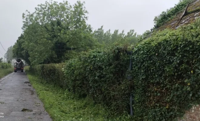 Taille de haie et abattage d'arbre sur bettrechie , Bavay, Le Jardin de Romain