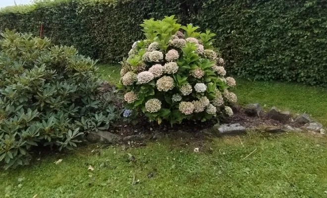 Désherbage des massifs à Bermeries , Bavay, Le Jardin de Romain