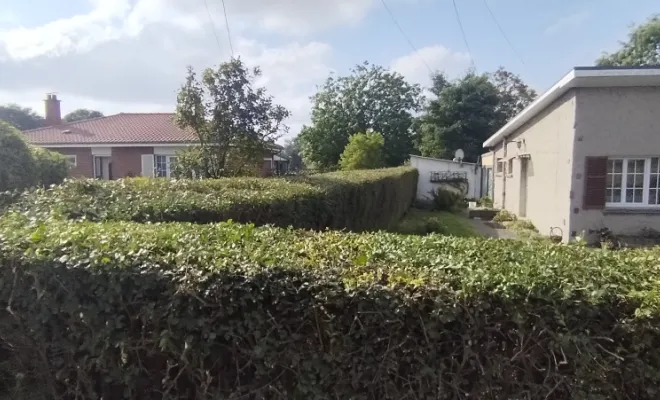 Taille de haies et d'arbustes à Bellignies, Bavay, Le Jardin de Romain