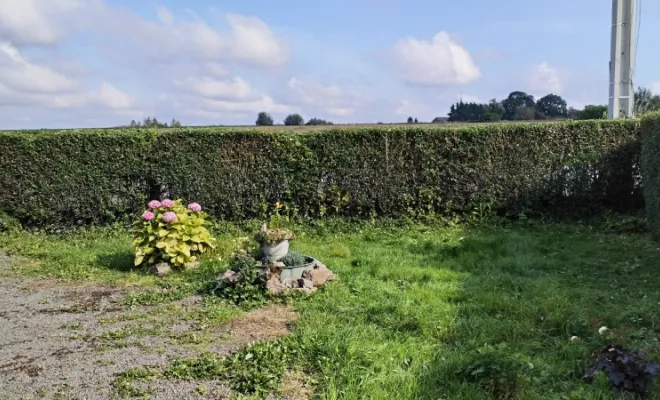 Taille de haies et d'arbustes à Bellignies, Bavay, Le Jardin de Romain