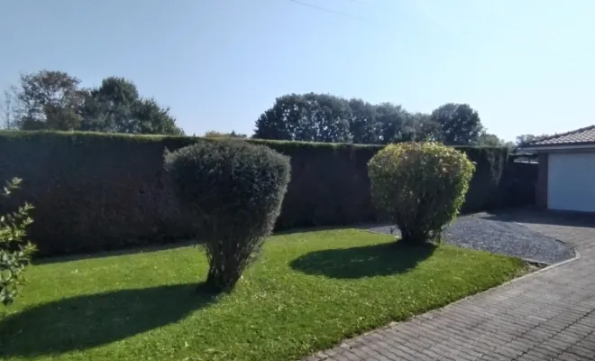 Taille de haies et d'arbustes à Bellignies, Bavay, Le Jardin de Romain