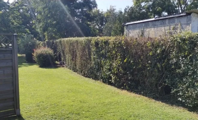 Taille de haies et d'arbustes à Bellignies, Bavay, Le Jardin de Romain