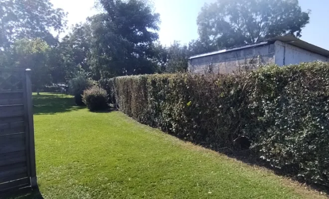 Taille de haies et d'arbustes à Bellignies, Bavay, Le Jardin de Romain