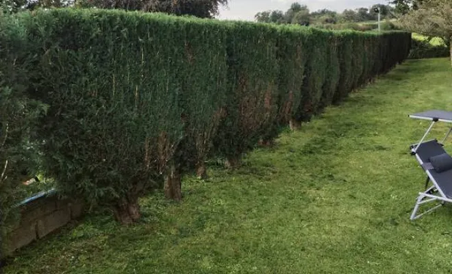 Entretien de jardin, Bavay, Le Jardin de Romain