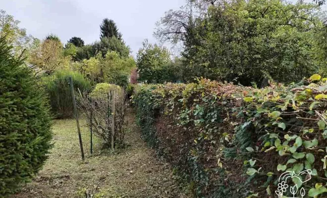 Entretien de jardin, Bavay, Le Jardin de Romain