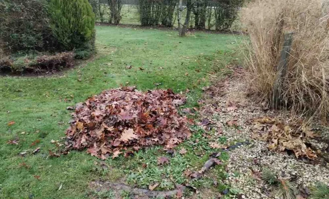 Entretien de jardin, Bavay, Le Jardin de Romain